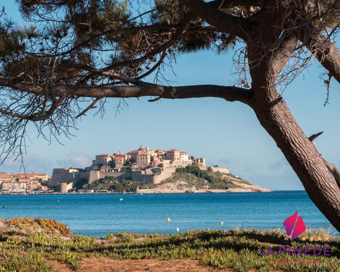 Camping La Pinede Calvi  Exteriér fotografie