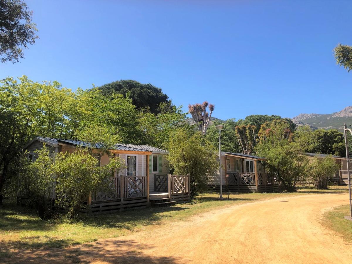 Camping La Pinede Calvi  Exteriér fotografie